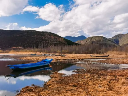 Casilando Kasyno Aplikacja mobilna